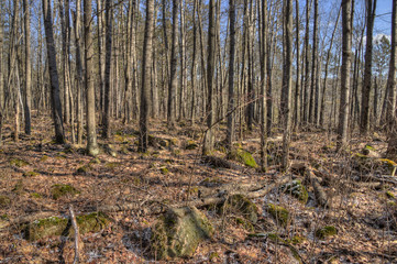 Banning State Park in Minnesota