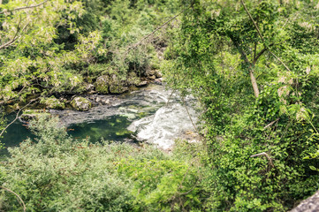 Quick stream of the Tarn river through green trees