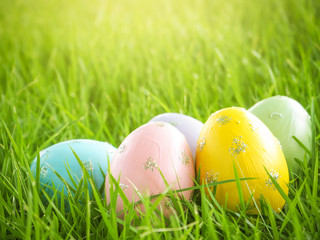 easter eggs in the grass