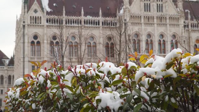 The Hungarian Parliament. Winter.