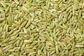 Obraz premium food background of dried fennel seeds, top view