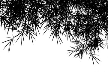Fototapeta premium silhouette of bamboo leaves isolated on white background