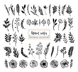 Floral notes botanical collection. Flowers, branches, and leaves. Hand drawn design elements. Nature vector illustration.