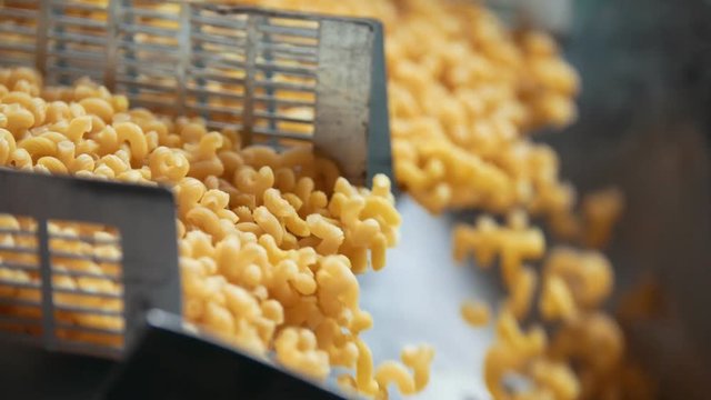 Dropping macaroni from a conveyor belt at the pasta factory
