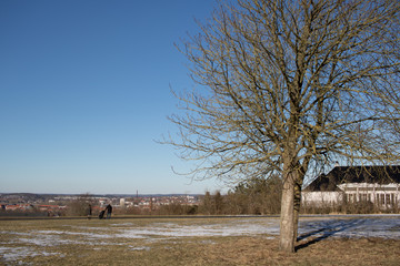 another view from Aalborg