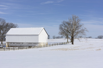 White Barn and Tree in Snow Covered Field in Winter