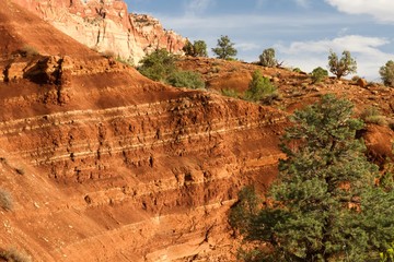 Capitol Reef 21