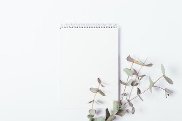 Top view of blank notepad sheet and eucalyptus © progressman
