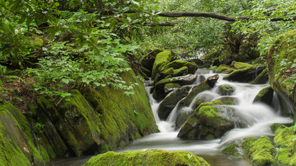 Obraz premium Beautiful Mountain Cascades