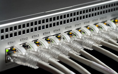 White network cables connected to a switch. Selective focus.