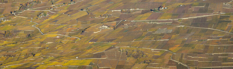 Aerial landscape of the north side of the Rhone River, showing vineyards in the Valais kanton (Wallis) near the city of Sion in an autumn sunrise, Switzerland