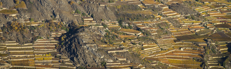 Aerial landscape of the north side of the Rhone River, showing vineyards in the Valais kanton...