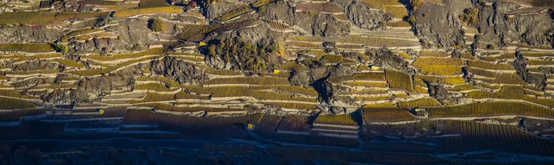 Fotobehang Aerial landscape of the north side of the Rhone River, showing vineyards in the Valais kanton (Wallis) near the city of Sion in an autumn sunrise, Switzerland © Sebastian