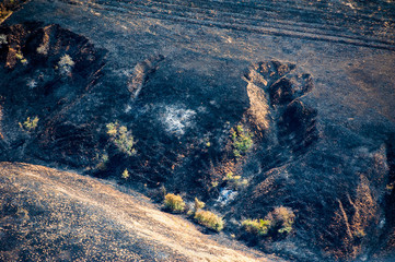 Scorched trees and grass after the fire. Aerial view
