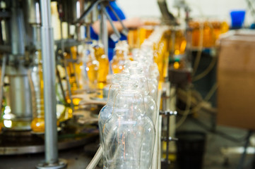 Vegetable oil production plant