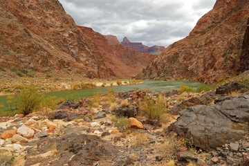 Obraz premium The Colorado River at the bottom of the Grand Canyon, Arizona
