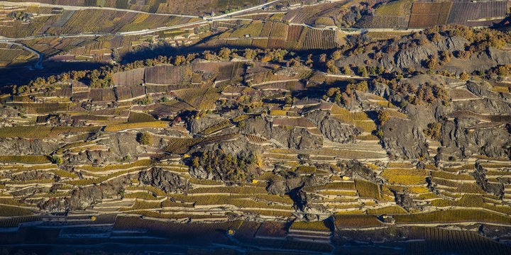 Aerial landscape of the north side of the Rhone River, showing vineyards in the Valais kanton (Wallis) near the city of Sion in an autumn sunrise, Switzerland