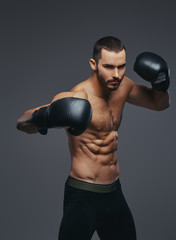 Plakat Studio portrait of a shirtless brutal athletic boxer wearing black boxing gloves on gray background.