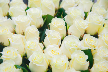 Street flower market. Different roses