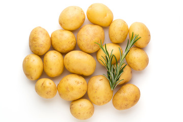 New potato and rosemarin isolated on white background close up.
