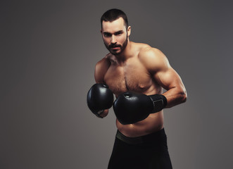 A brutal shirtless caucasian sportsman in boxing gloves training isolated on a gray background.
