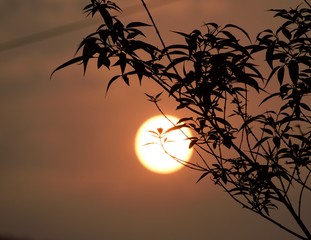 Natural beauty of Sunset