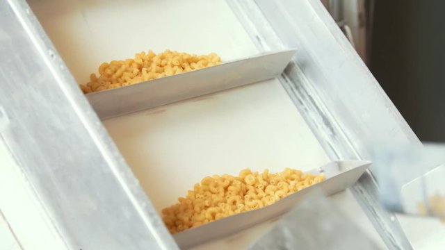 Raw macaroni at the production line in a pasta factory