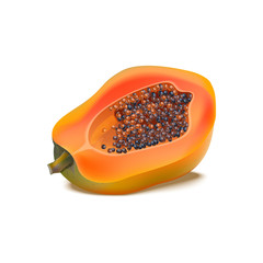 Half a ripe papaya fruit isolated on white background. Vector realistic illustration