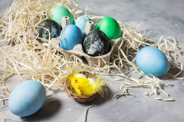 Fototapeta na wymiar painted eggs in tray, chicken eggs, paint and brush on concrete surface, Easter decorations