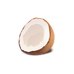 Half a coconut isolated on white background. Coco nut vector realistic illustration