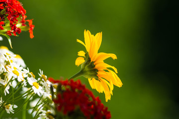 a bouquet of bright spring flowers of various types