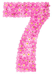 Arabic numeral 7, seven, from pink forget-me-not flowers, isolated on white background