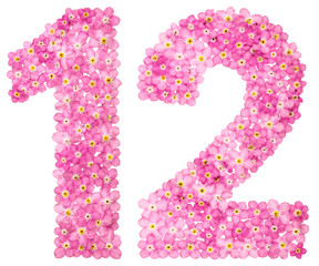 Arabic numeral 12, twelve, from pink forget-me-not flowers, isolated on white background
