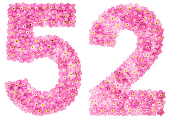 Arabic numeral 52, fifty two, from pink forget-me-not flowers, isolated on white background
