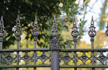Metal curly fence in the park / Details
