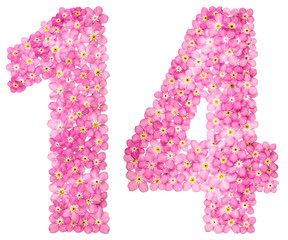 Arabic numeral 14, fourteen, from pink forget-me-not flowers, isolated on white background