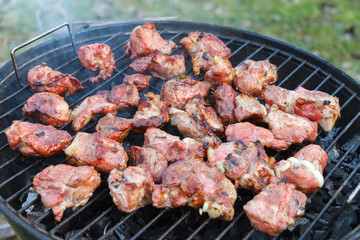 Meat is cooked on the grill