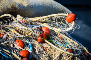 fishing nets close up view