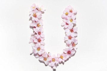 Letter of the English alphabet from flowers
