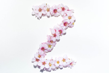 Letter of the English alphabet from flowers