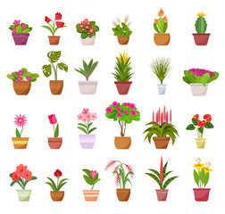 Flowers and plants in pots icons isolated on white background. Home decorative and deciduous plants vector collection