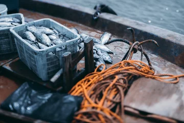 Papier Peint photo autocollant Poisson View with a shallow depth of field of the deck of a fishing vessel: boxes with a fresh fish yield of tuna, the yellow rope and simple drag anchor, ocean water with bokeh overboard