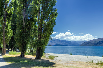 Lake Wanaka shoreline with green trees on a summer sunny day