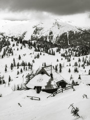 Fototapeta na wymiar Traditional cottages on Velika planina in winter, Slovenia