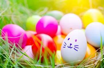 Easter eggs cute bunny. Funny happy in easter day on wood background