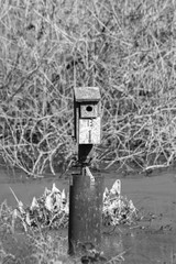 Wooden birdhouse number 13 mounted on top of  a metal post in a marsh surrounded by water.