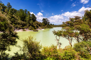 Fototapeta na wymiar Green lake view in Wai-o-Tapu thermal wonderland park, Rotorua, New Zealand