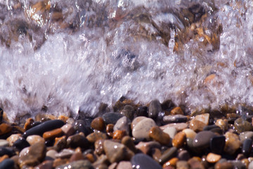 Sea shells, corals, pebble stones for background.