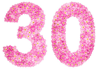 Arabic numeral 30, thirty, from pink forget-me-not flowers, isolated on white background