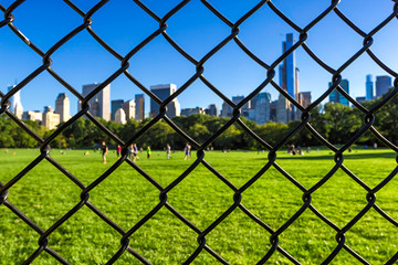 Green lawn of the New York Central Park behind a wire fence.